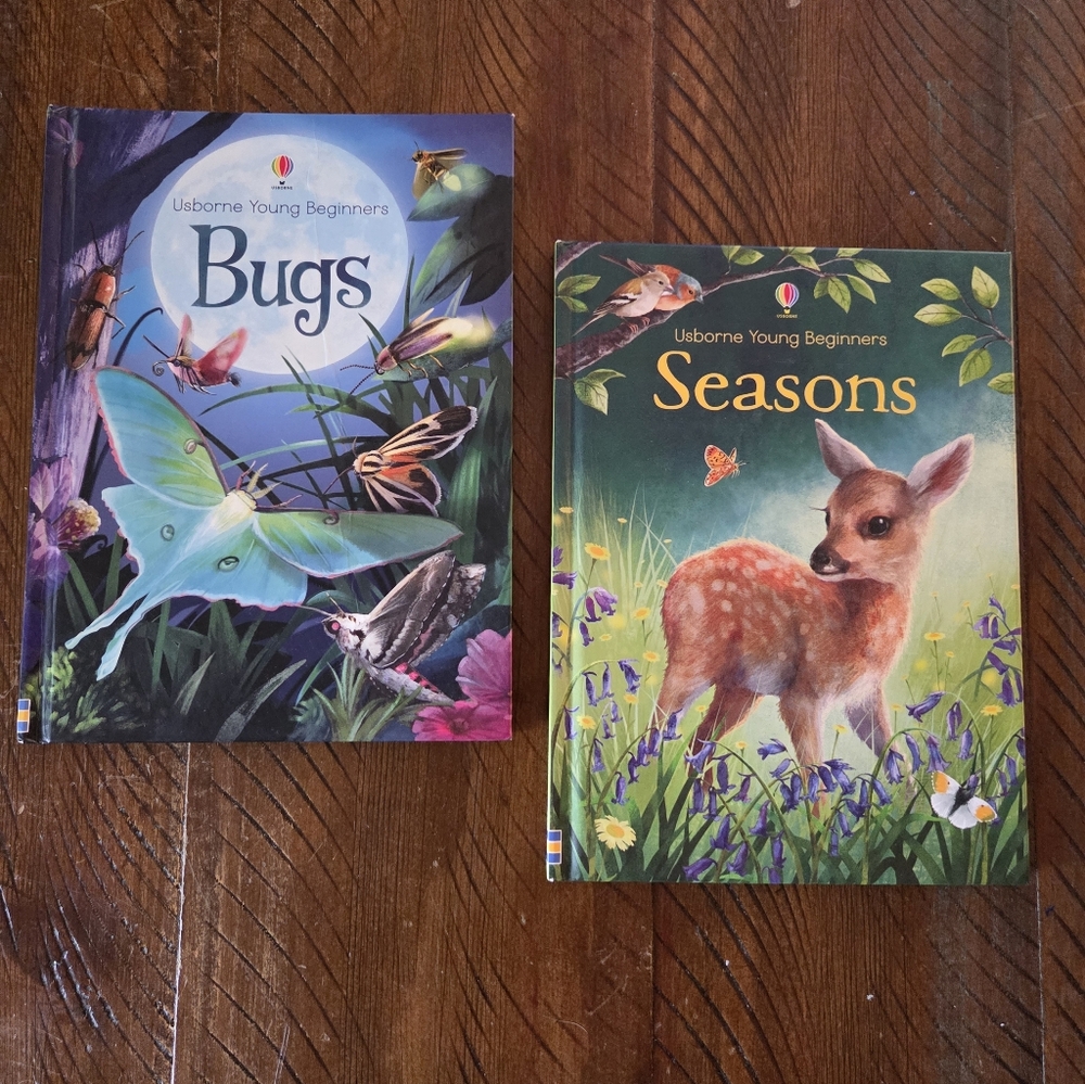 🎈2/$15 Usborne Young Beginners Books - Bugs and Seasons